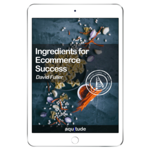 Ingredients For Ecommerce Book
